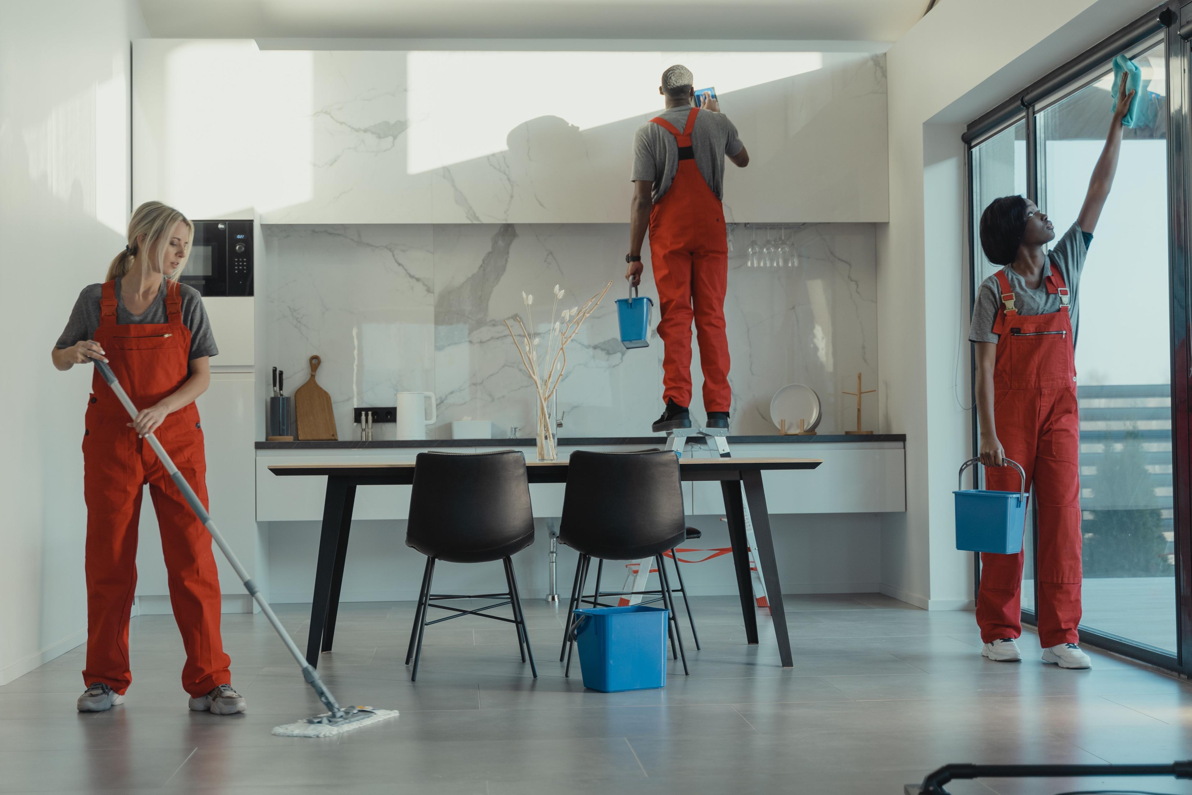 Professional cleaners working together